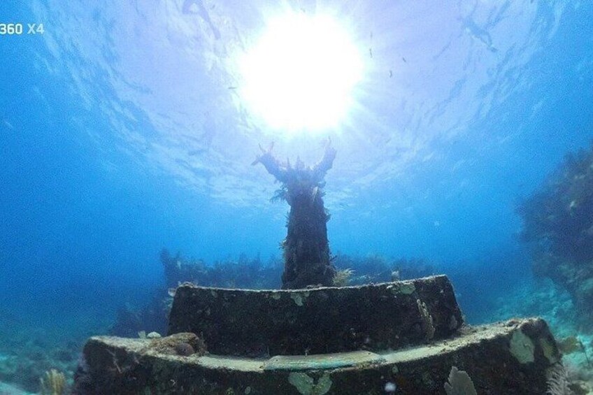 Half Day Snorkel Trip on Reefs in the Florida Keys 2