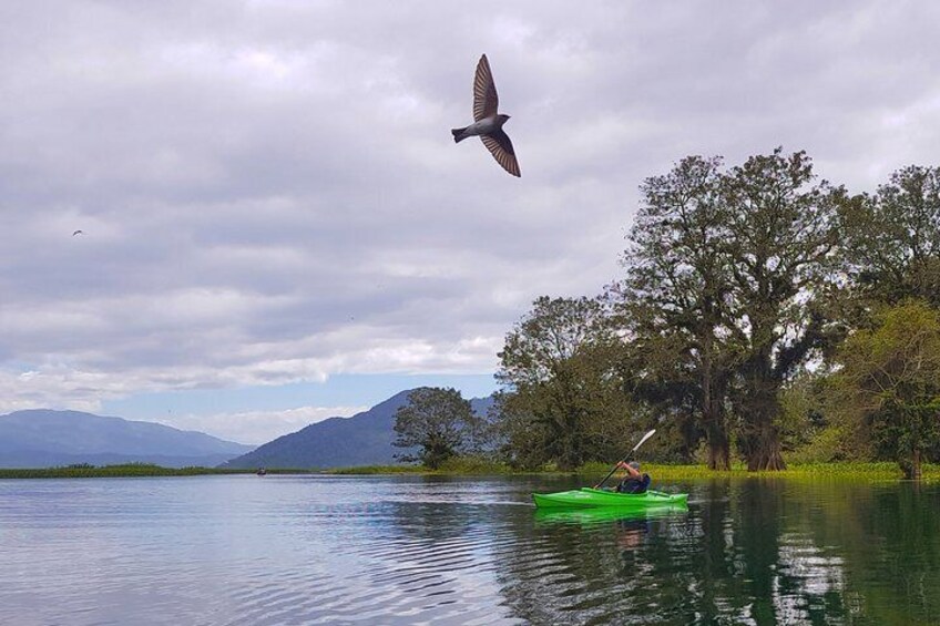 Kayak at Yojoa Lake 1