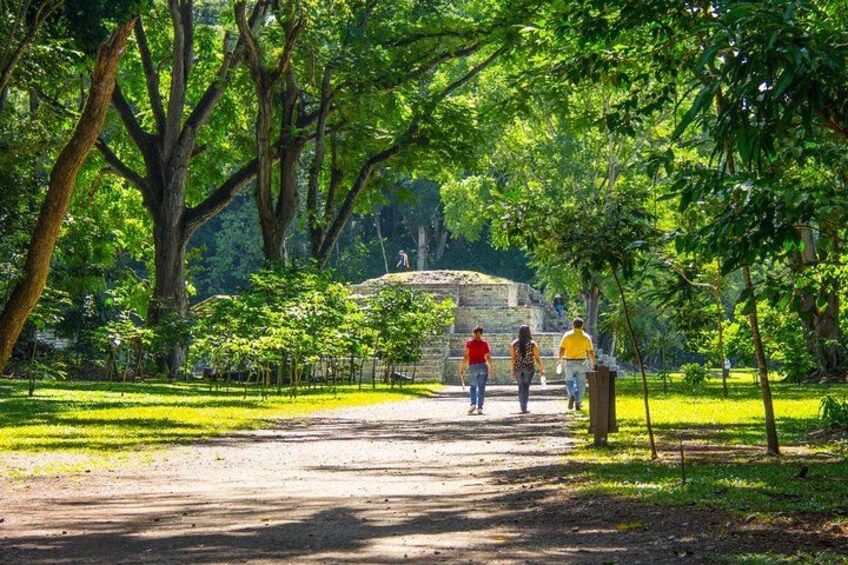 A dirt path in a park with trees and a stone structure in the background. 1