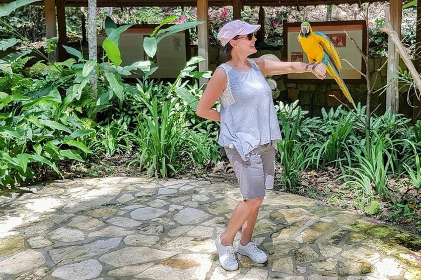 Macaw Mountain Bird Park, Copan, Honduras. 5