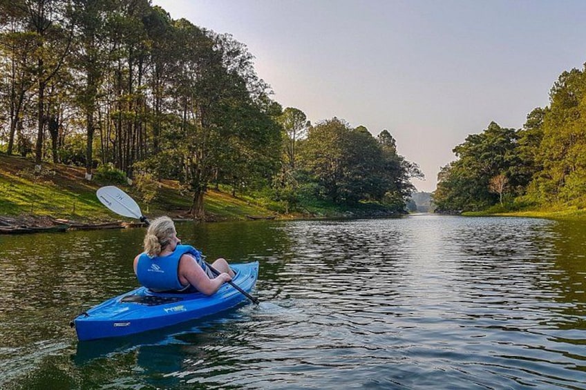 Una persona haciendo kayak en un río tranquilo bordeado de árboles. 1