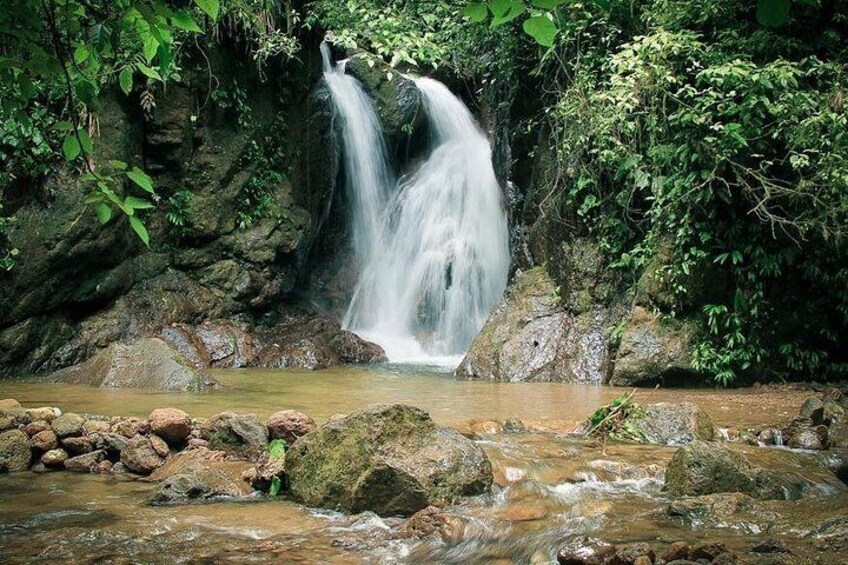 A waterfall cascading over rocks into a shallow stream surrounded by dense foliage. 4