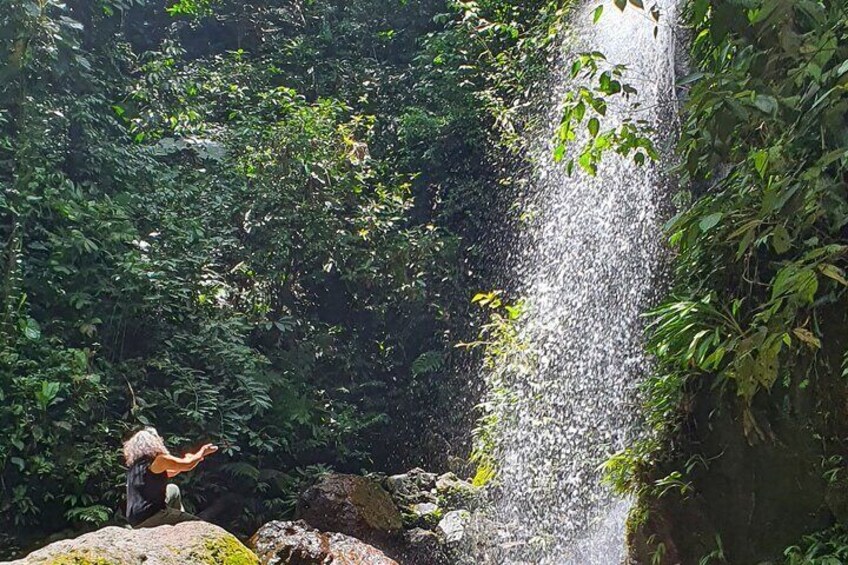 A waterfall in a lush forest. 5