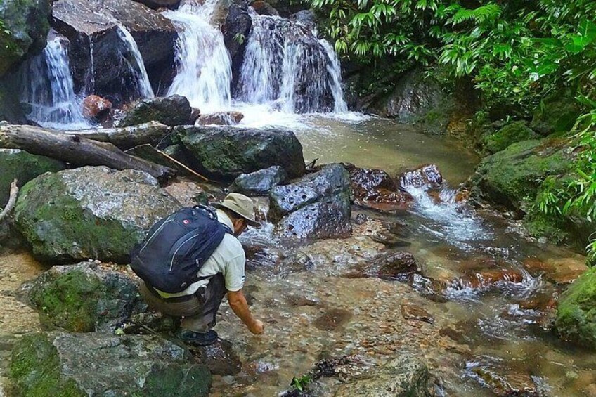 Panacam, Honduras 1