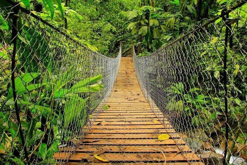 Panacam, Honduras 2