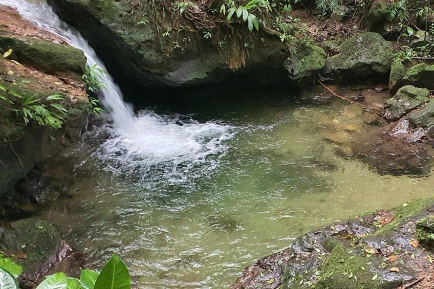 Panacam, Honduras 4