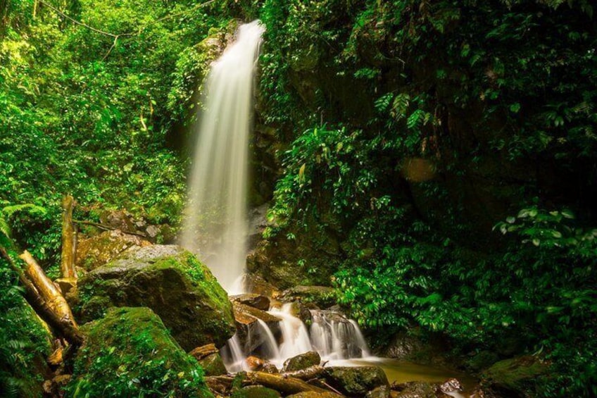 A waterfall cascading over rocks in a lush, green forest. 1