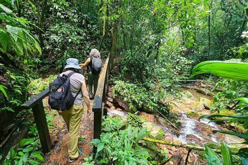 Two hikers on a wooden bridge in a dense forest with a stream below. 5