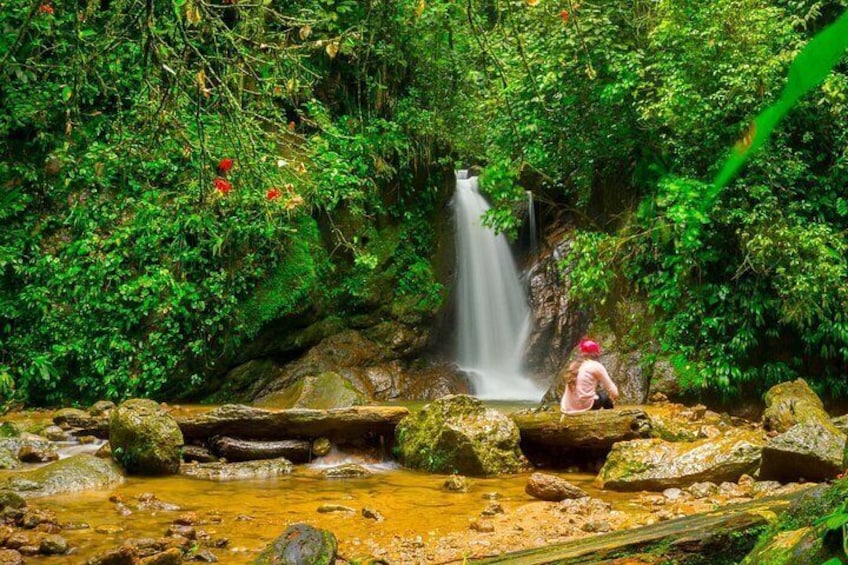 A waterfall in a lush, green forest with rocks and a person sitting near the water. 3
