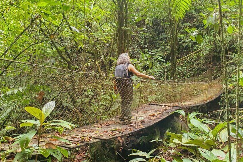 A person walking on a rope bridge in a forest. 2