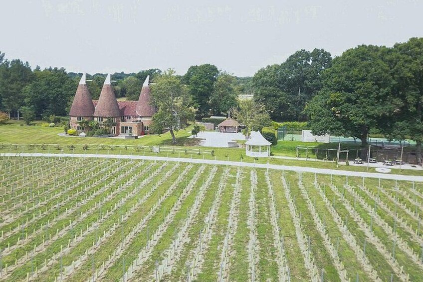 A vineyard with rows of grapevines, a building with conical roofs, and a gazebo in a park. 2