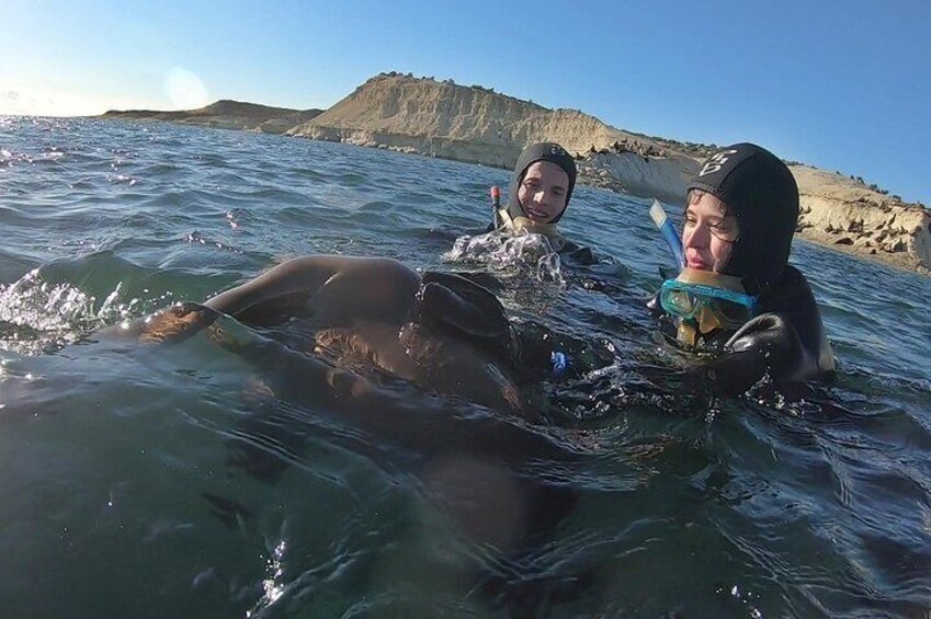 Snorkeling with Sea Lions by Madryn Buceo