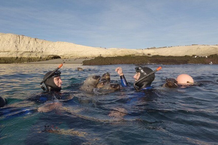 Snorkeling with Sea Lions by Madryn Buceo 5
