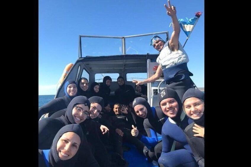 Snorkeling with Sea Lions by Madryn Buceo