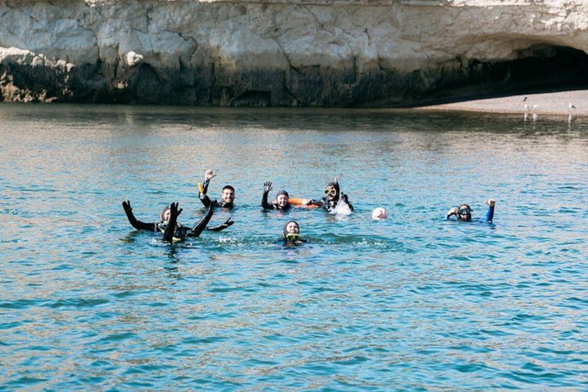 Snorkeling with Sea Lions by Madryn Buceo 5