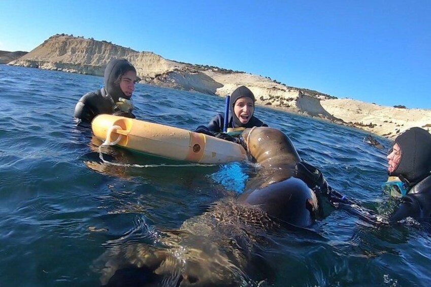 Personas en el agua con un gran animal marino, probablemente una ballena, y una tabla de surf. 2