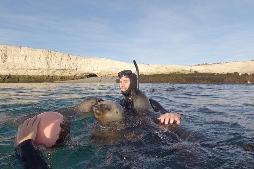 Snorkeling with Sea Lions by Madryn Buceo 4