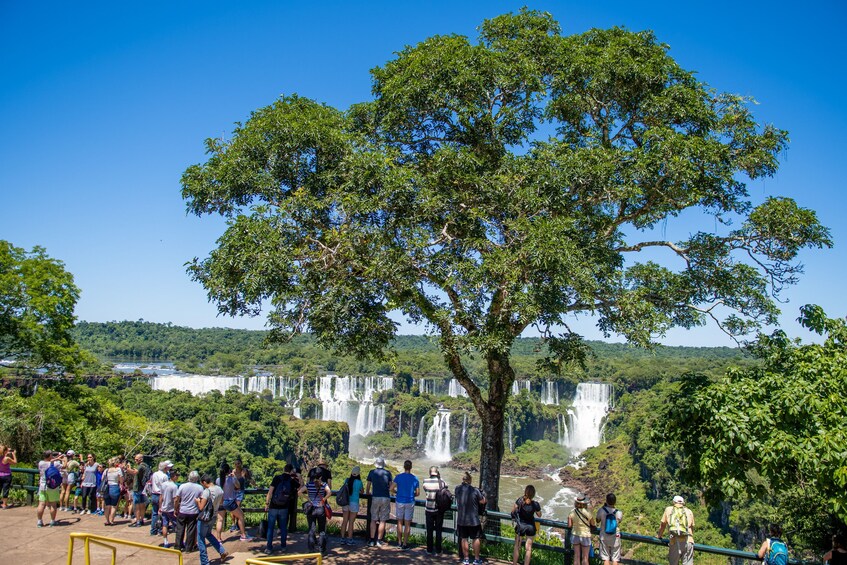 Iguazu Falls Tour on Brazil Side