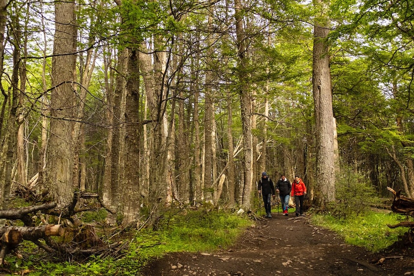 Tierra del Fuego National Park