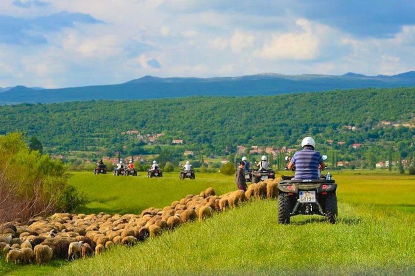 ATV Quad Safari Tour with Picnic & Swimming from Split 2
