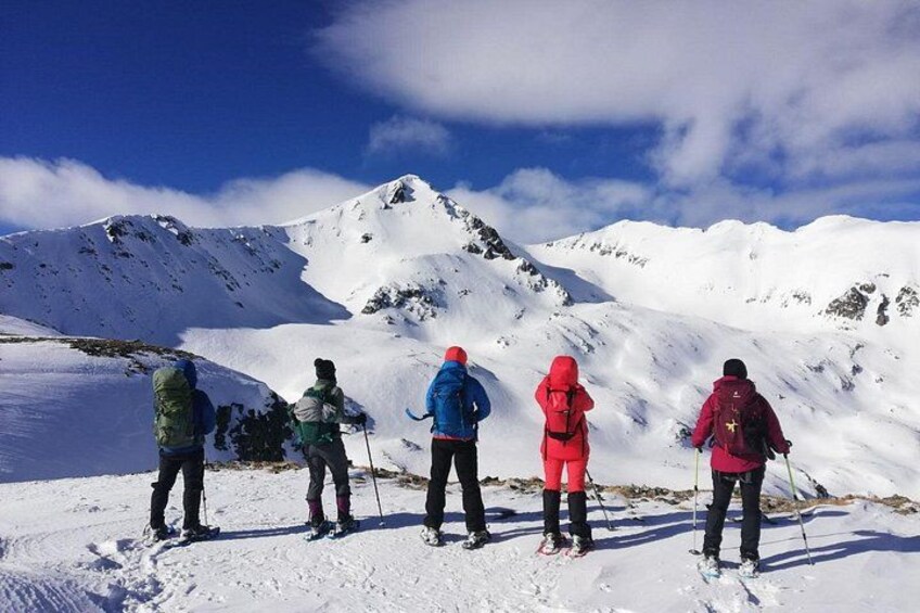 Four people skiing on a snowy mountain slope. 1