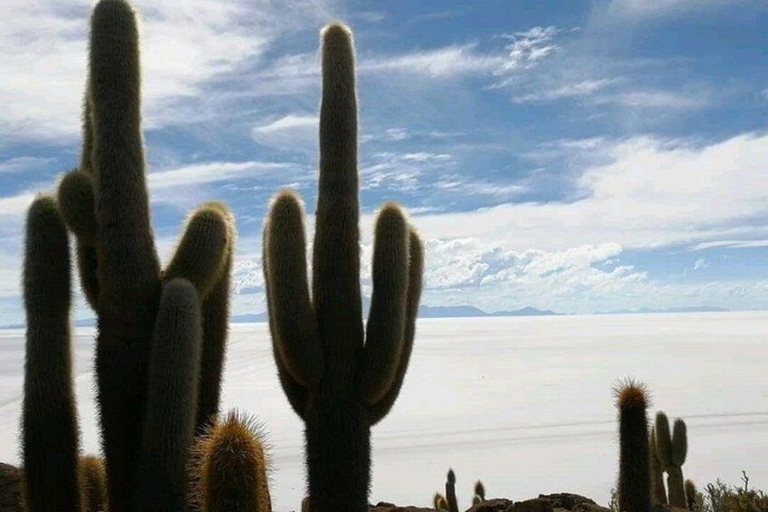 Luxury 2 Days Trip from La Paz to Uyuni Salt Flats by Flight 3