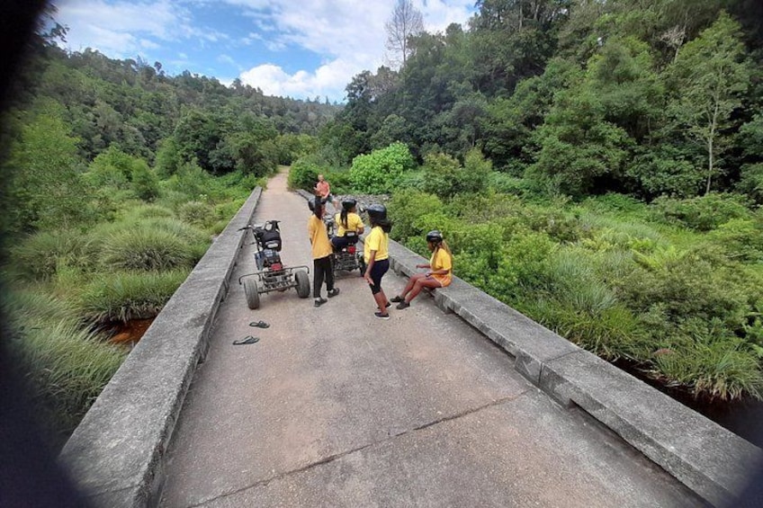 Un grupo de personas en un puente rodeado de vegetación exuberante. 2
