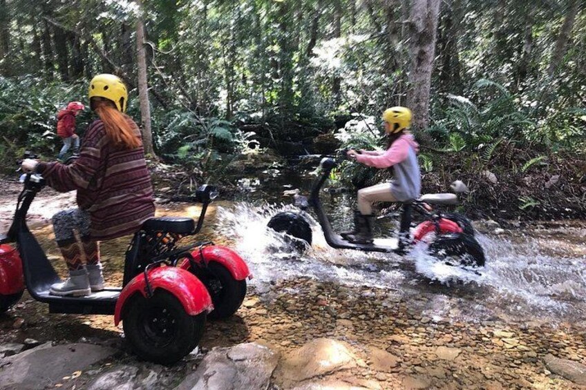 Scooter Tours through Tsitsikamma National Park 2