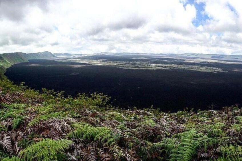 Walking Tour to Sierra Negra volcano and Chico Volcano from Isabela Island