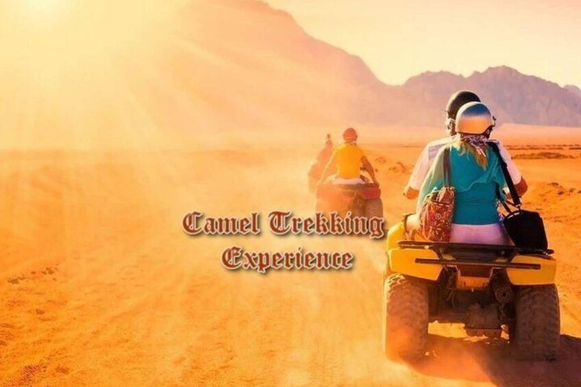 Two people riding ATVs in a desert landscape with mountains in the background. 5