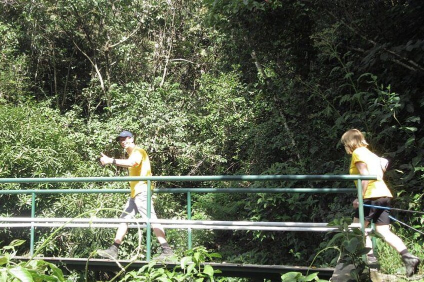 Dos personas caminando sobre un puente rodeado de abundante vegetación. 4