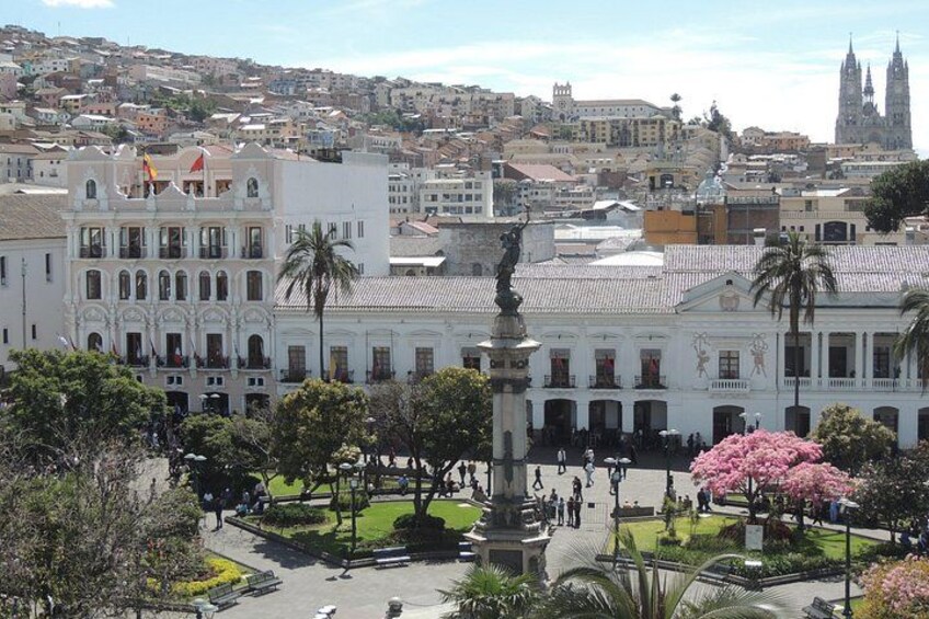 Plaza Grande 5