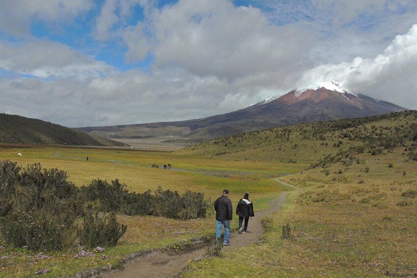 Beautiful Landscapes and Wild Horses! 5