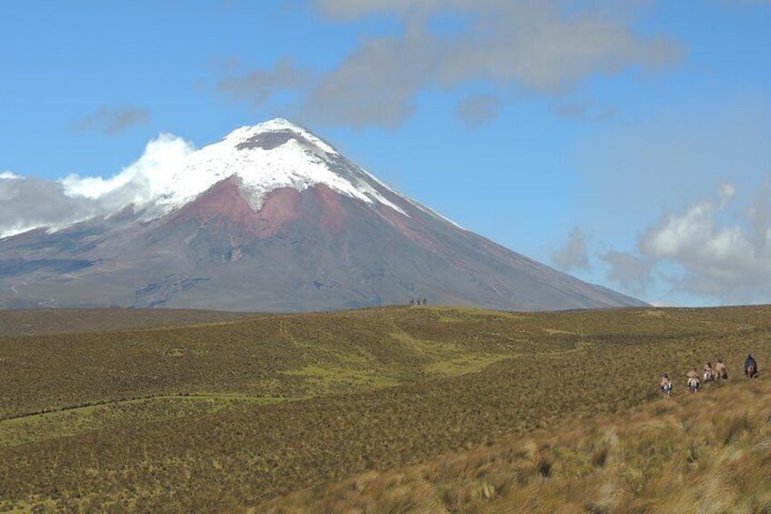 Cotopaxi Volcano & Chagras.