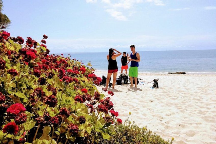 Una spiaggia con persone, fiori rossi e l'oceano. 1