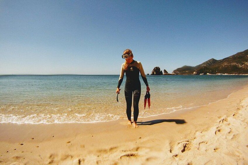 Una persona in muta da sub che cammina su una spiaggia sabbiosa, con l'oceano sullo sfondo. 5