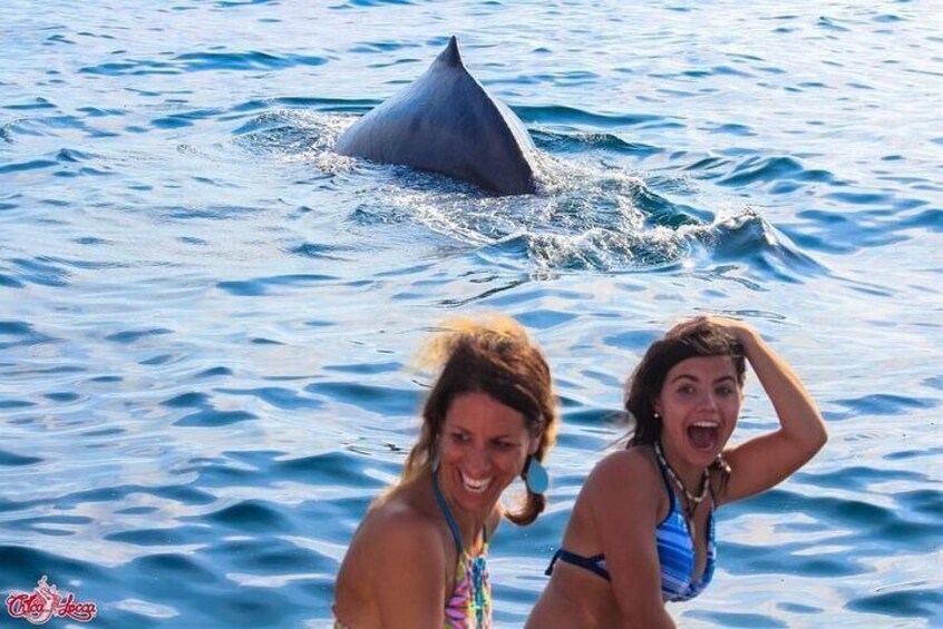 Two people in the ocean with a whale in the background. 5