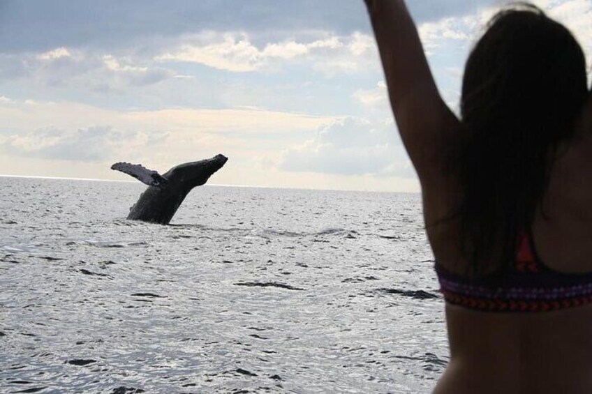 A person in a bikini observing a whale breaching the ocean surface. 3