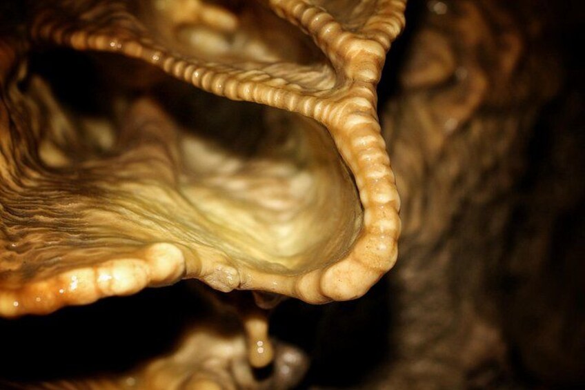 Cave formations like these are some of the interesting features to discover in the cave. 4