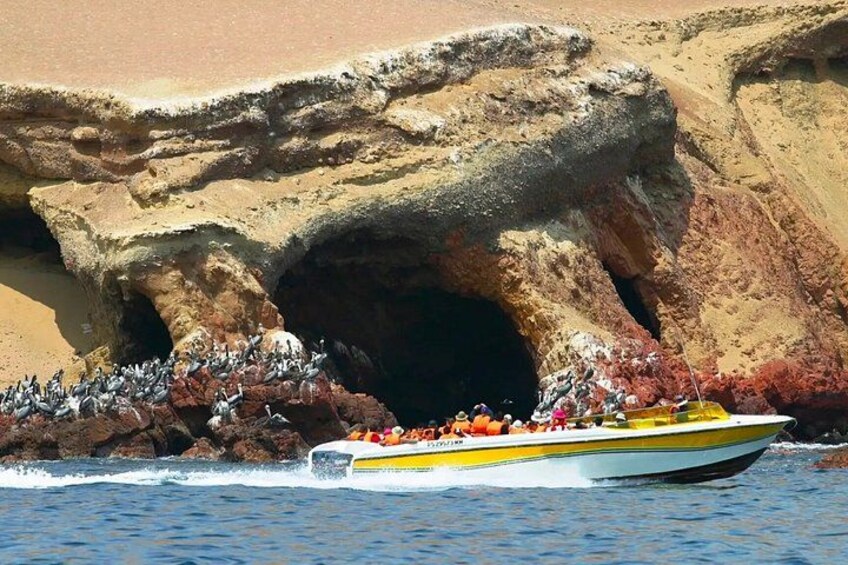 Premium Paracas & Huacachina Day Trip from Lima with Sunset Toast 4