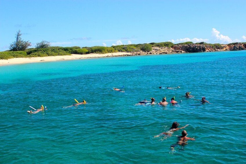 And Snorkeling 3
