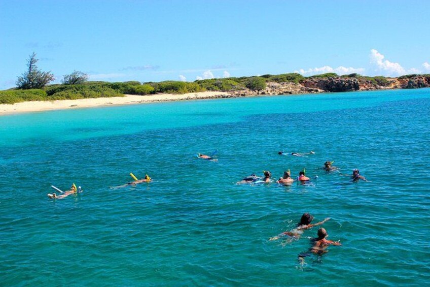 And Snorkeling 2