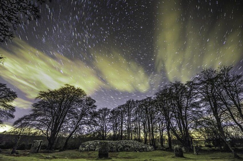 Un ciel étoilé illuminé par les aurores boréales, une forêt aux arbres dénudés et un champ d’herbe. 5