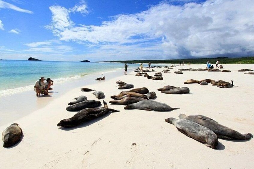 4 Day Galapagos Island Hopping Tour 5