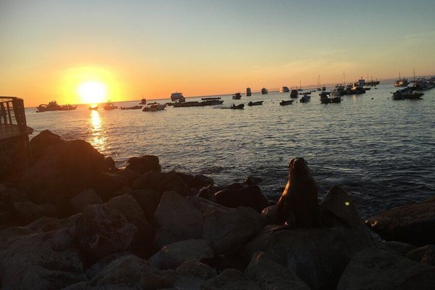 Galapagos Sunset 3