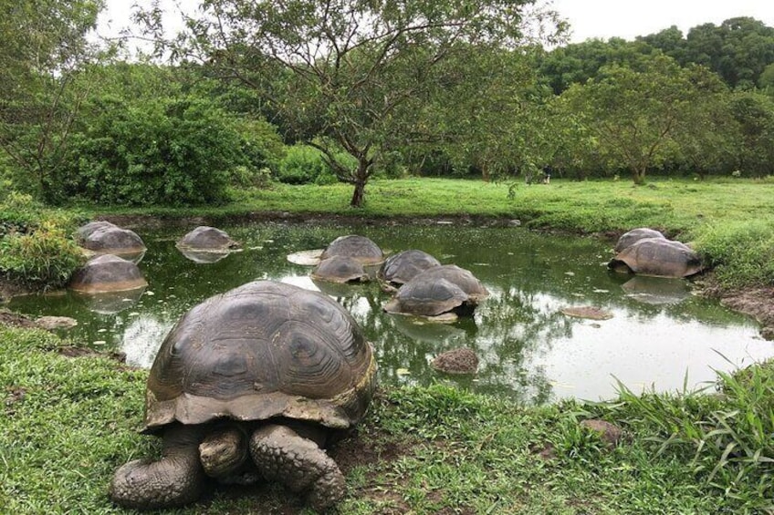 8 Day Galapagos Island Hopping Classic 3