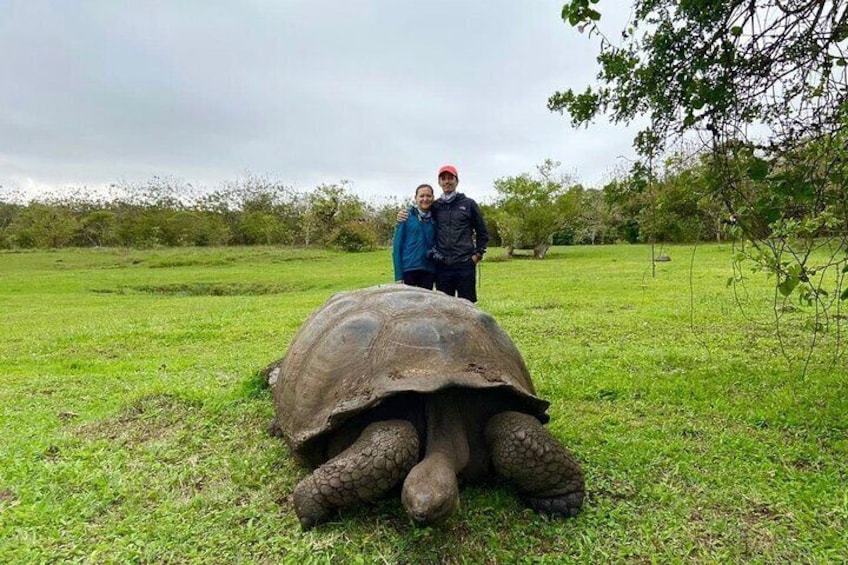 A tortoise in a grassy field with two people standing behind it. 3