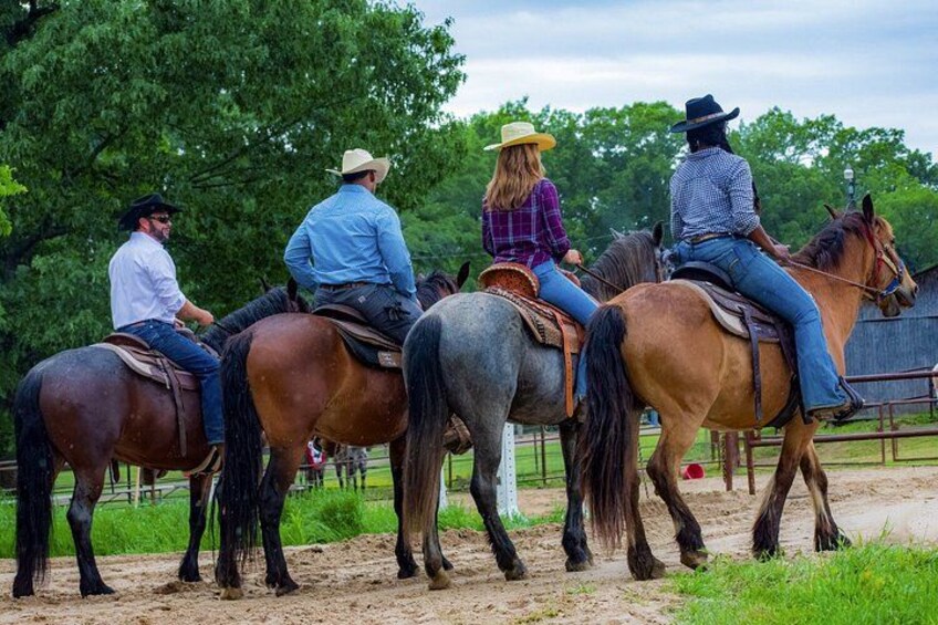 Memphis 1 hour Horseback Trail Ride 3