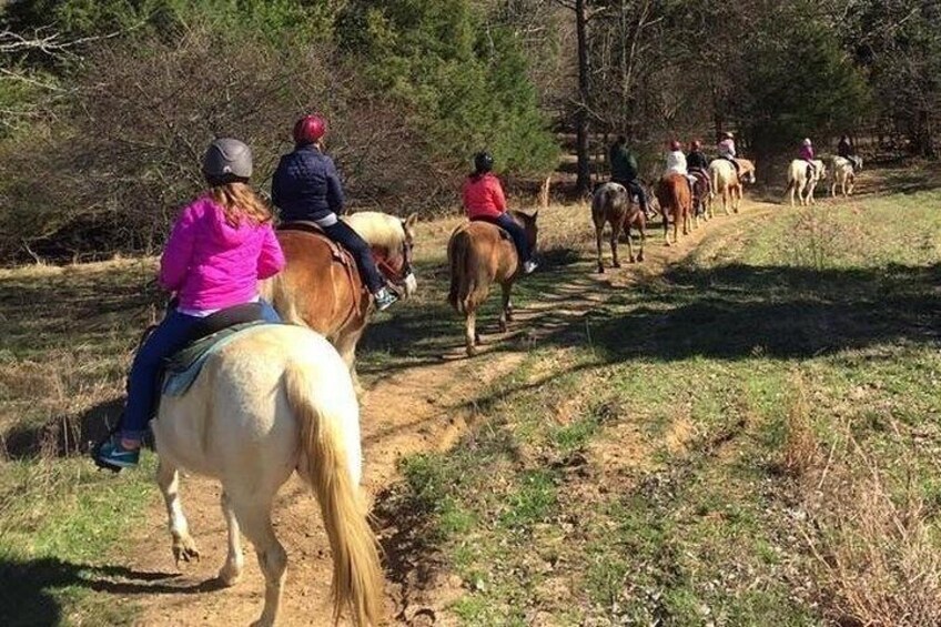 Memphis 1 hour Horseback Trail Ride 3