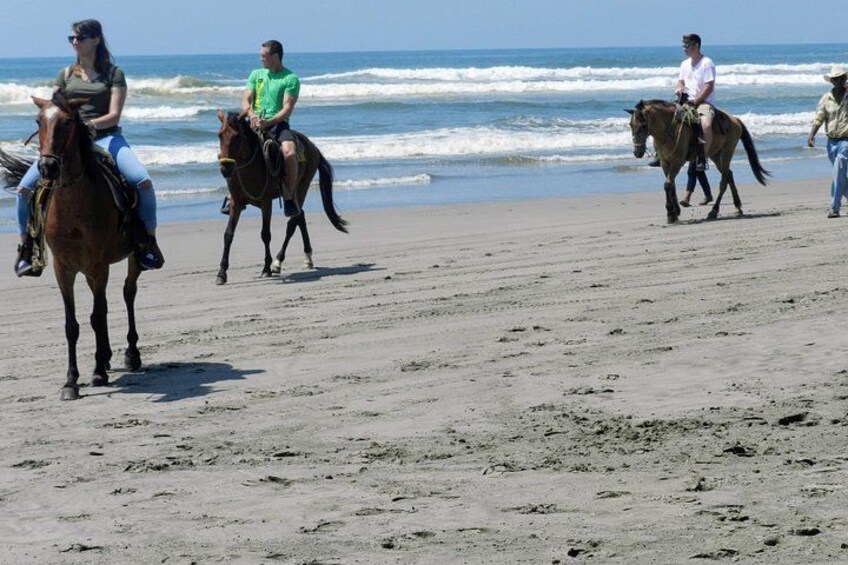Afro-Mexican Village: Horseback Beach Ride, Crocs & Cliff Diver 4